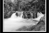 aa_mckenzie_river_06_041bw_11_14f.jpg.jpg
